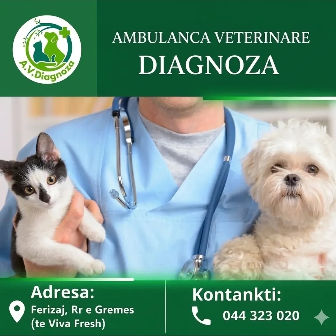Diagnoza2009