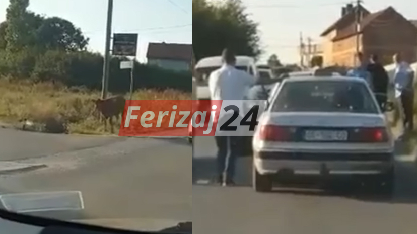 ferizaj24 - Ferizaj/ E godet lopën me “BMW”, dy pronarët hasin në mosmarrëveshje