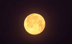 The Wolf Moon Is Rising When and How to See January 2025s First Full Moon 1200x7271 1 300x182 - Full Moon January 2025: The Wolf Moon Shines Bright