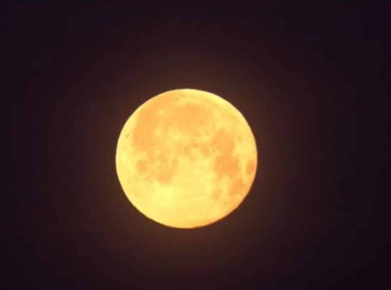 The Wolf Moon Is Rising When and How to See January 2025s First Full Moon 1200x7271 1 560x416 - Full Moon January 2025: The Wolf Moon Shines Bright