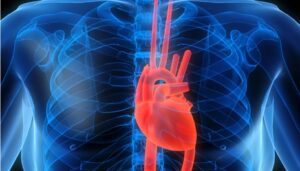 Cardiovascular 8342 647058616 300x171 - Çfarë janë Sëmundjet Kardiovaskulare dhe Si të Parandalohen?