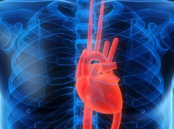 Cardiovascular 8342 647058616 350x260 - Çfarë janë Sëmundjet Kardiovaskulare dhe Si të Parandalohen?