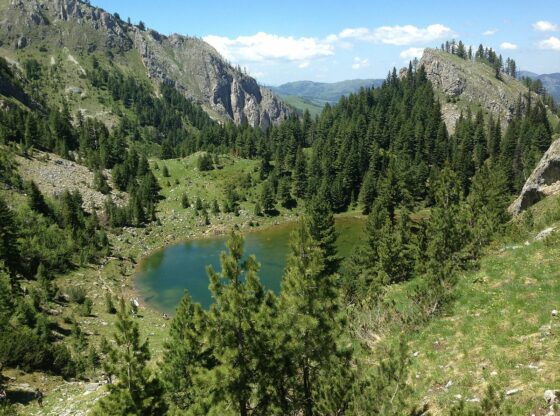 Liqeni i Kuqishtes Peje   Parku Kombetar Bjeshket e Nemuna 560x416 - Bjeshkët e Nemuna – Misteri dhe madhështia e Alpeve Shqiptare